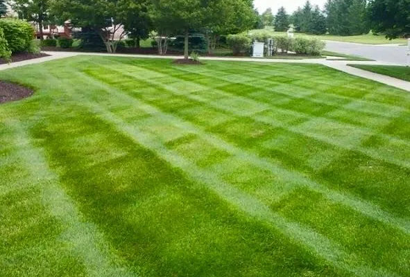 Lawn Care & Turf Management in White Lake, Michigan
