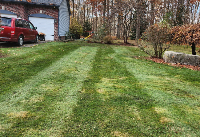 Lawn Care & Turf Management