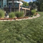 Lawn Mowing